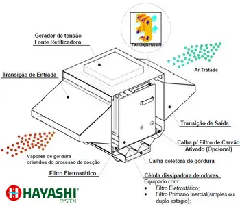 Sistema Eletrostático Hayashi