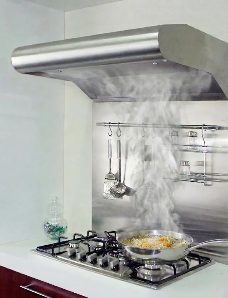 curvilinea-inox-com-fritura.webp